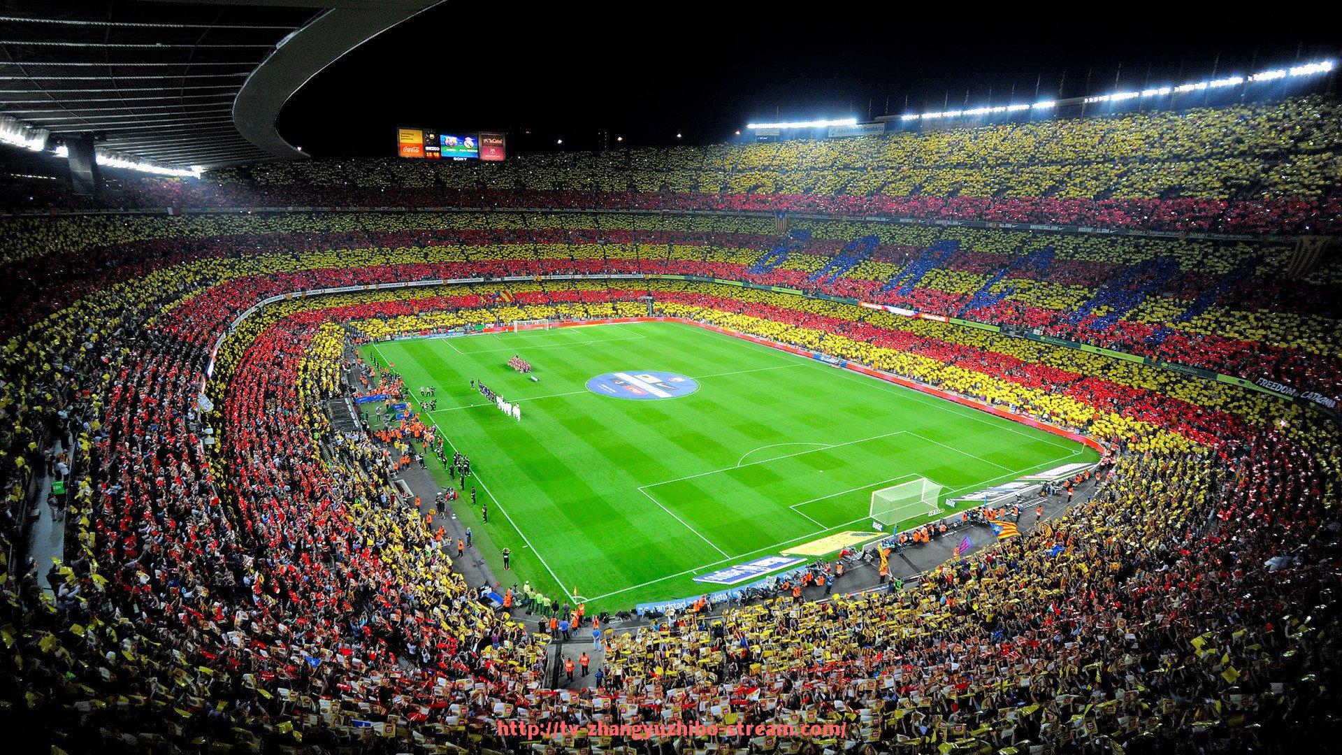 章鱼直播-常见的健身器材照片及其在体育宣传与教学中的辅助价值