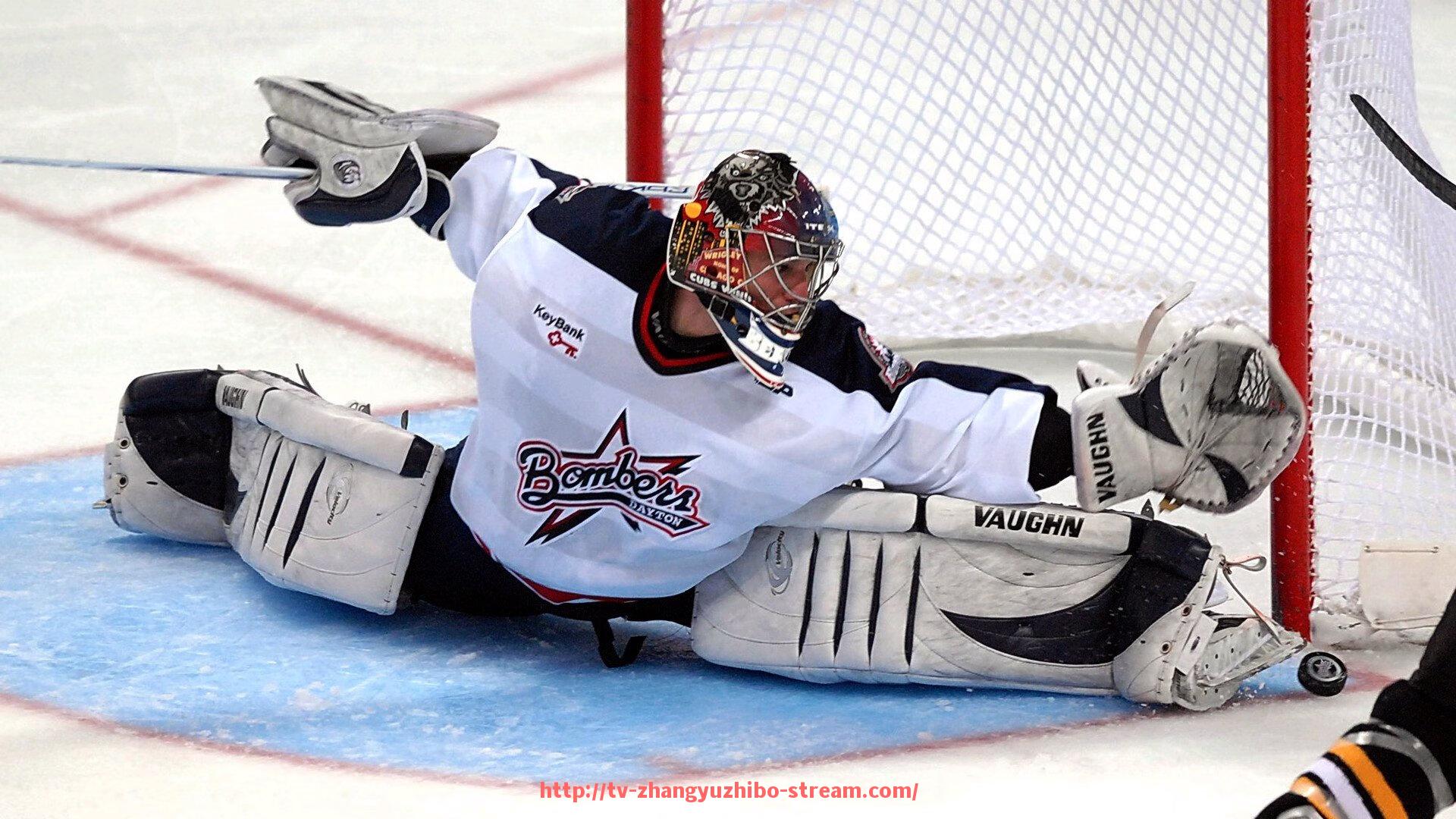 章鱼直播-法甲外援转会市场最新动态及重点签约分析